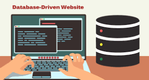 ওয়েবসাইটের-ডাটাবেজ-বলতে-কি-বুঝায়